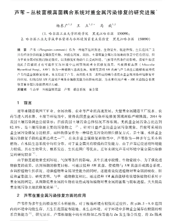 芦苇丛枝菌根真菌耦合系统对重金属污染修复的研究进展