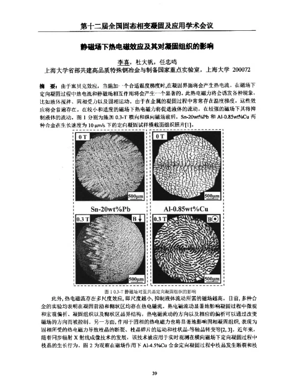 静磁场下热电磁效应及其对凝固组织的影响