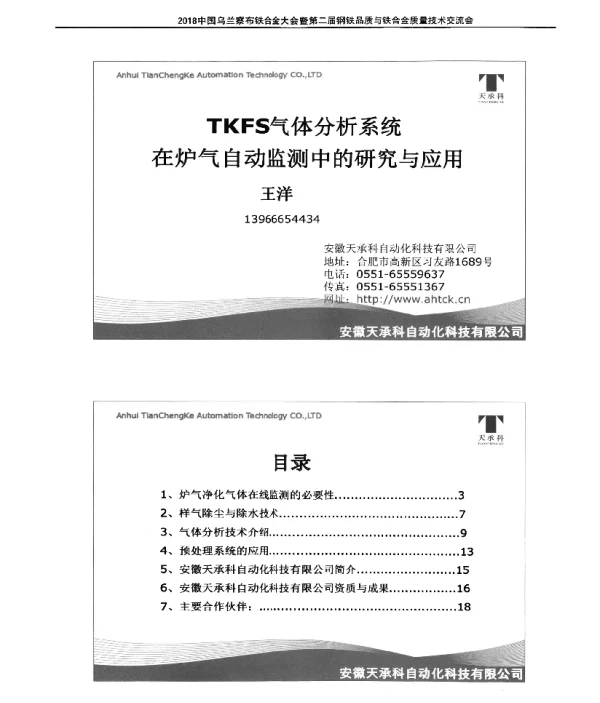 TKFS气体分析系统在炉气自动监测中的研究与应用