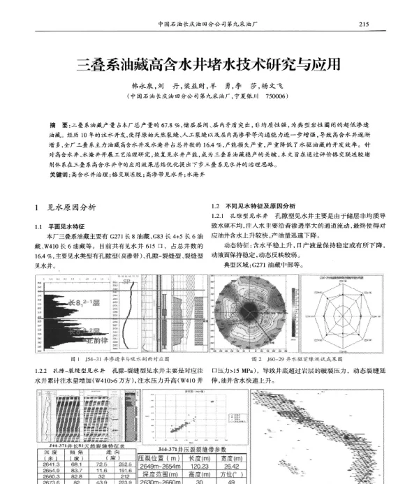 三叠系油藏高含水井堵水技术研究与应用