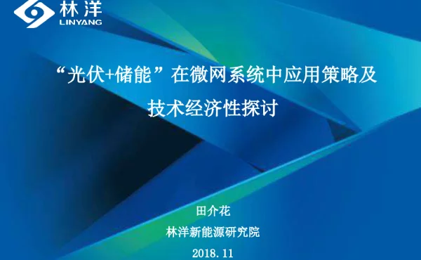 “光伏+储能”在微网系统中应用策略及技术经济性探讨