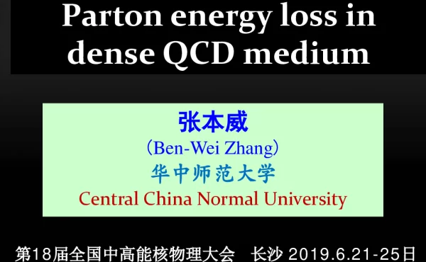PartonenergylossindenseQCDmedium