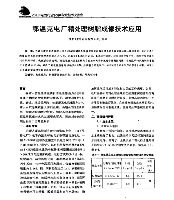鄂温克电厂精处理树脂成像技术应用