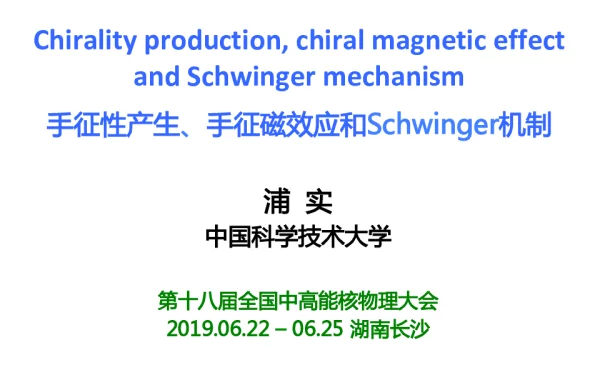 手征性产生、手征磁效应和Schwinger机制