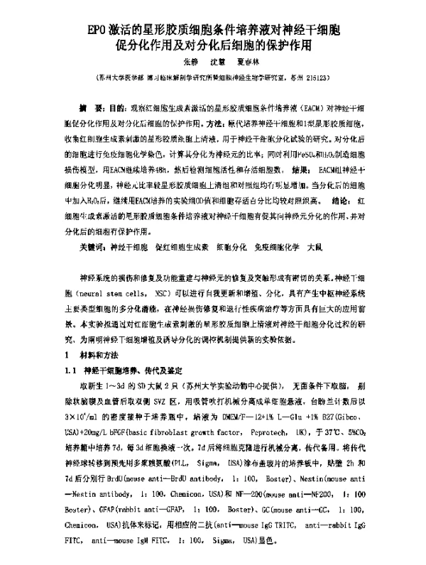 EPO激活的星形胶质细胞条件培养液对神经干细胞促分化作用及对分化后细胞的保护作用