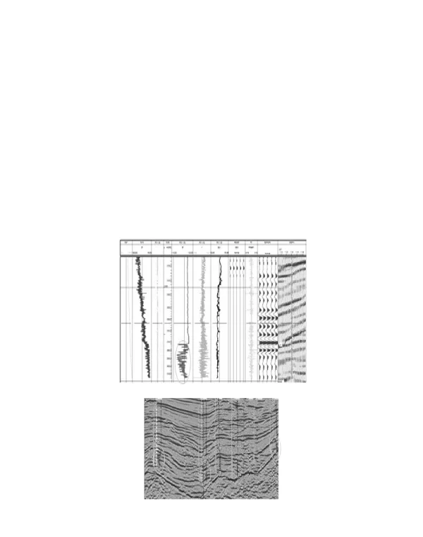 利津油田利567区块砂砾岩储层研究进展