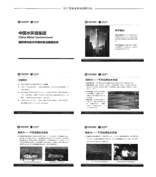 国际领先的水环境综合治理服务商