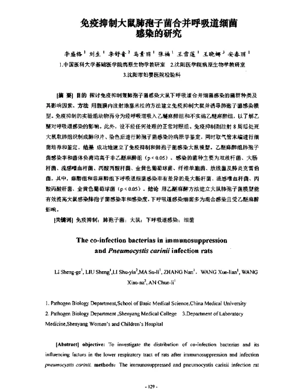 免疫抑制大鼠肺孢子菌合并呼吸道细菌感染的研究