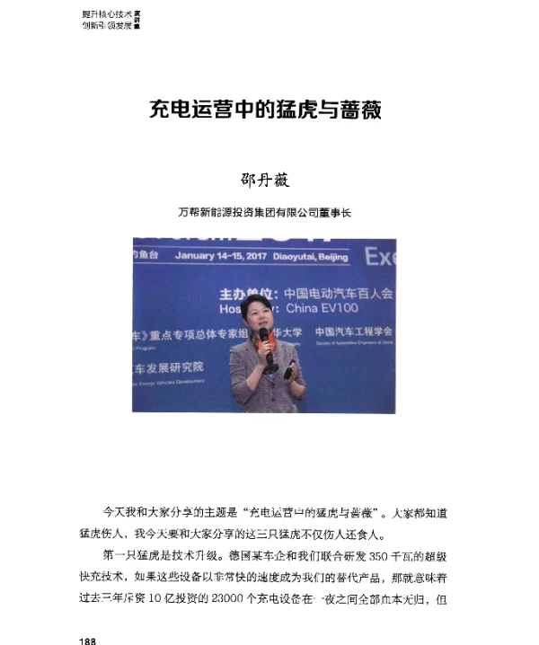充电运营中的猛虎与蔷薇