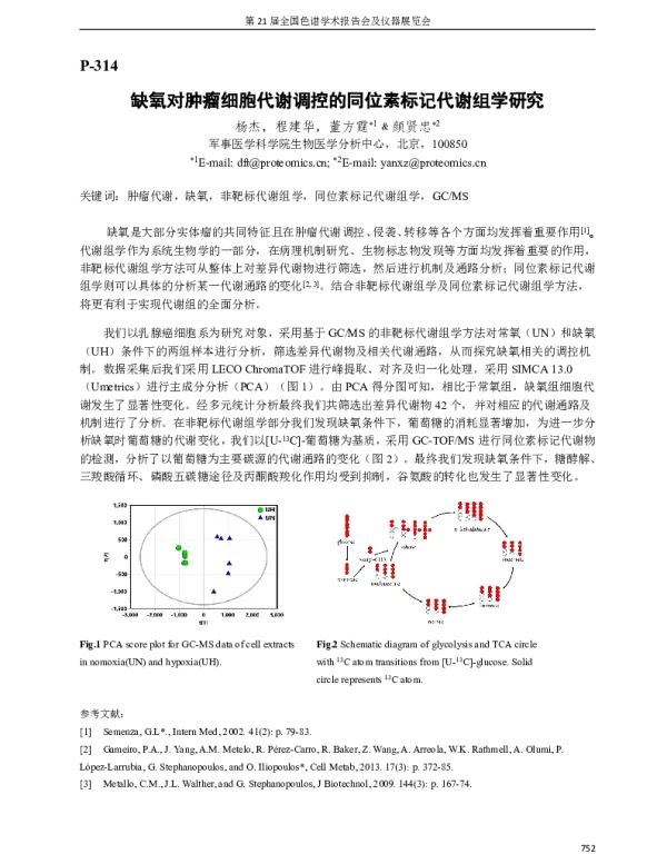 缺氧对肿瘤细胞代谢调控的同位素标记代谢组学研究