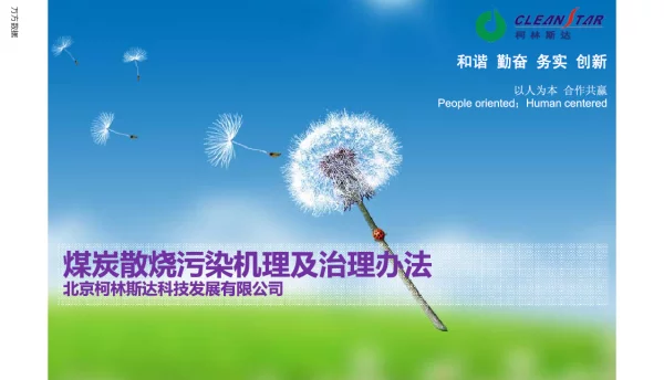 煤炭散烧污染机理及治理办法