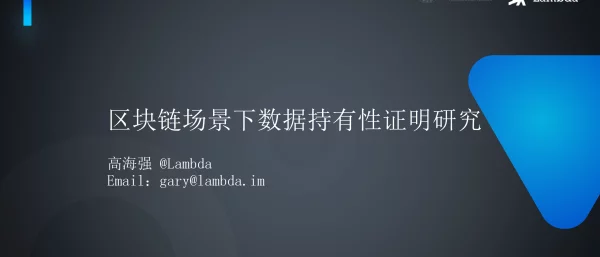 区块链场景下数据持有性证明研究