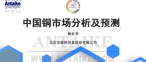 中国铜市场分析及预测
