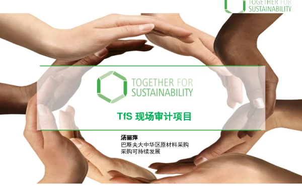 TfS现场审计项目