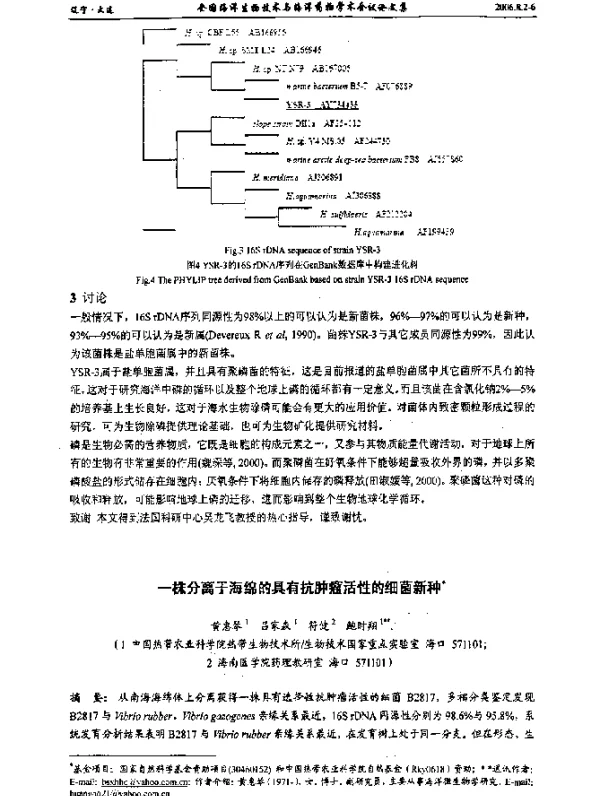 一株分离于海绵的具有抗肿瘤活性的细菌新种