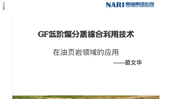 GF低阶煤分质综合利用技术在油页岩领域的应用