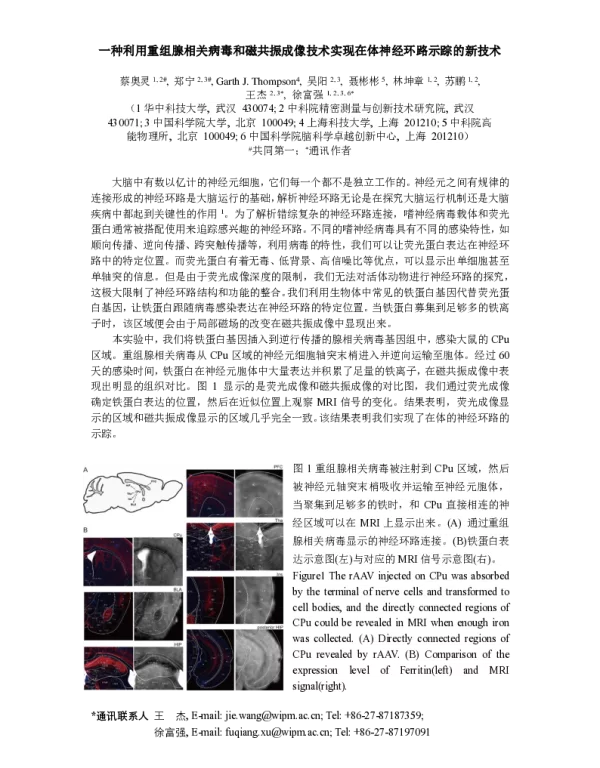 一种利用重组腺相关病毒和磁共振成像技术实现在体神经环路示踪的新技术
