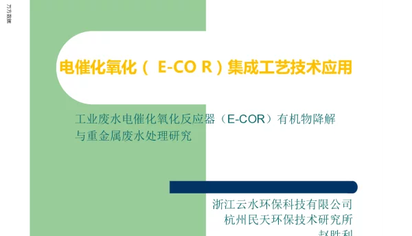 工业废水电催化氧化反应器(E-COR)有机物降解与重金属废水处理研究