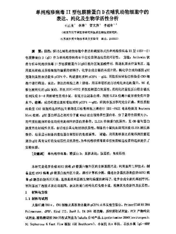 单纯疱疹病毒Ⅱ型包膜糖蛋白D在哺乳动物细胞中的表达、纯化及生物学活性分析