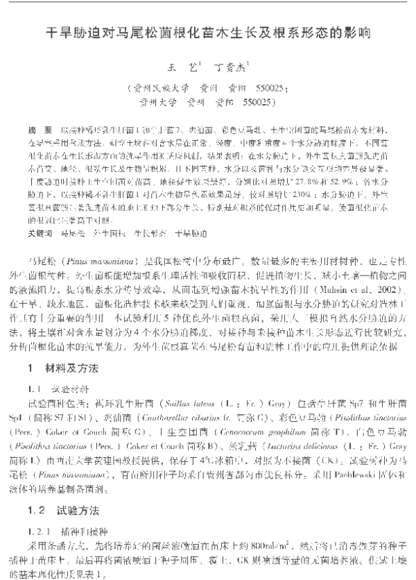 干旱胁迫对马尾松菌根化苗木生长及根系形态的影响