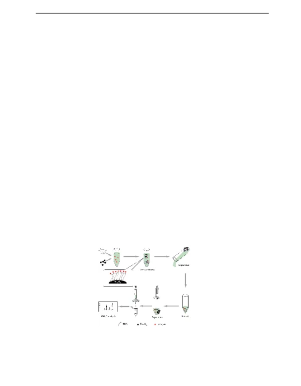 基于SDS包覆的Fe3O4纳米粒子吸附胶束分散固相萃取结合HPLC-UV测定葛根芩连口服液中的生物碱