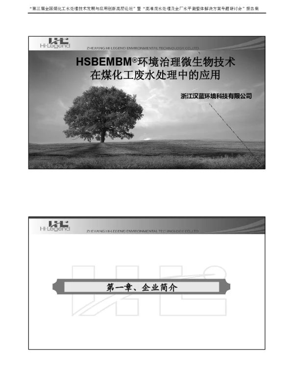 HSBEMBM环境治理微生物技术在煤化工废水处理中的应用