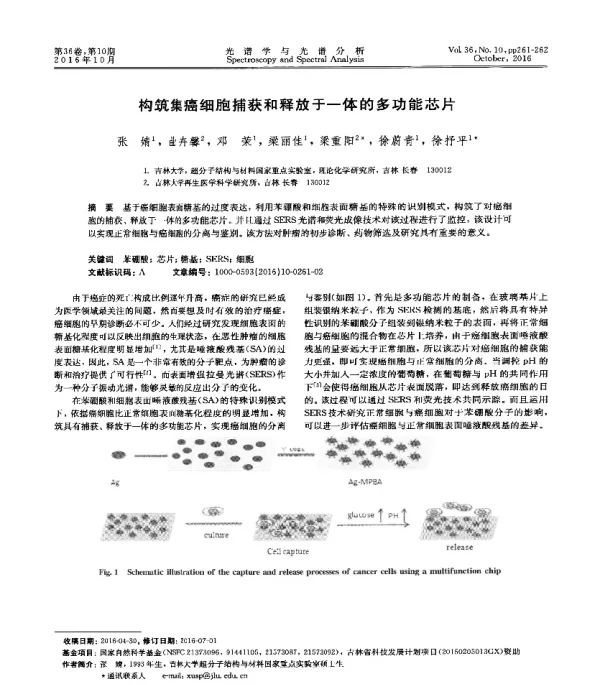 构筑集癌细胞捕获和释放于一体的多功能芯片