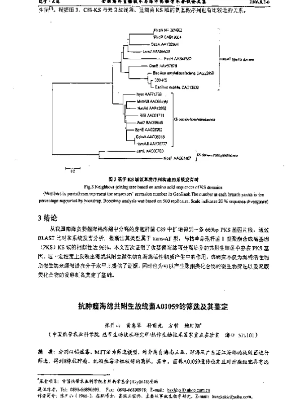 抗肿瘤海绵共附生放线菌A01059的筛选及其鉴定