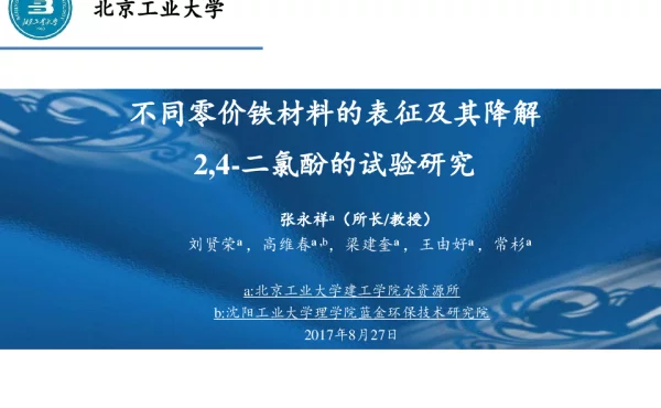 不同零价铁材料的表征及其降解24二氯酚的试验研究