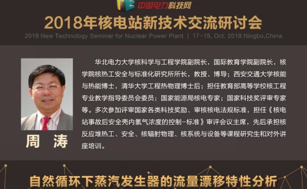自然循环下蒸汽发生器的流量漂移特性分析