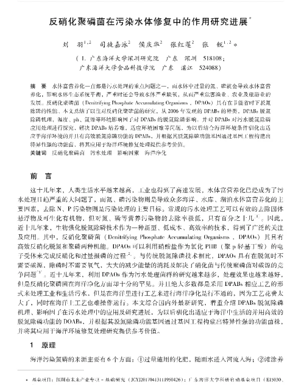 反硝化聚磷菌在污染水体修复中的作用研究进展