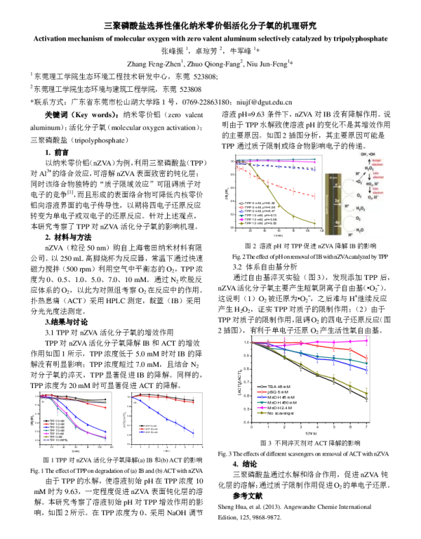 三聚磷酸盐选择性催化纳米零价铝活化分子氧的机理研究