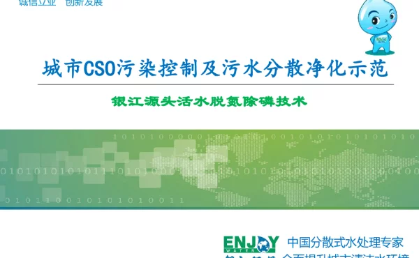 城市CSO污染控制及污水分散净化示范银江源头活水脱氮除磷技术
