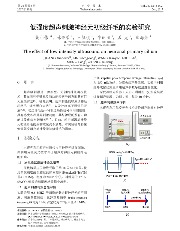 低强度超声刺激神经元初级纤毛的实验研究