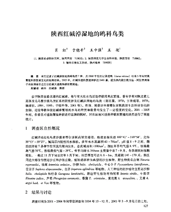 陕西红碱淖湿地的鸥科鸟类
