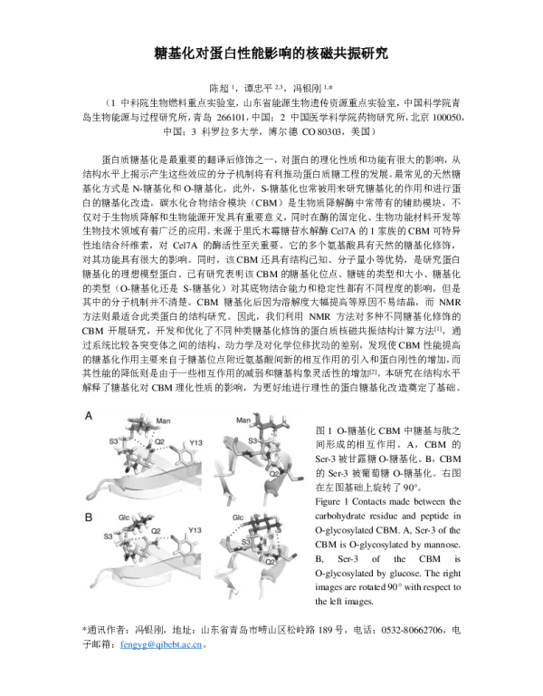 糖基化对蛋白性能影响的核磁共振研究