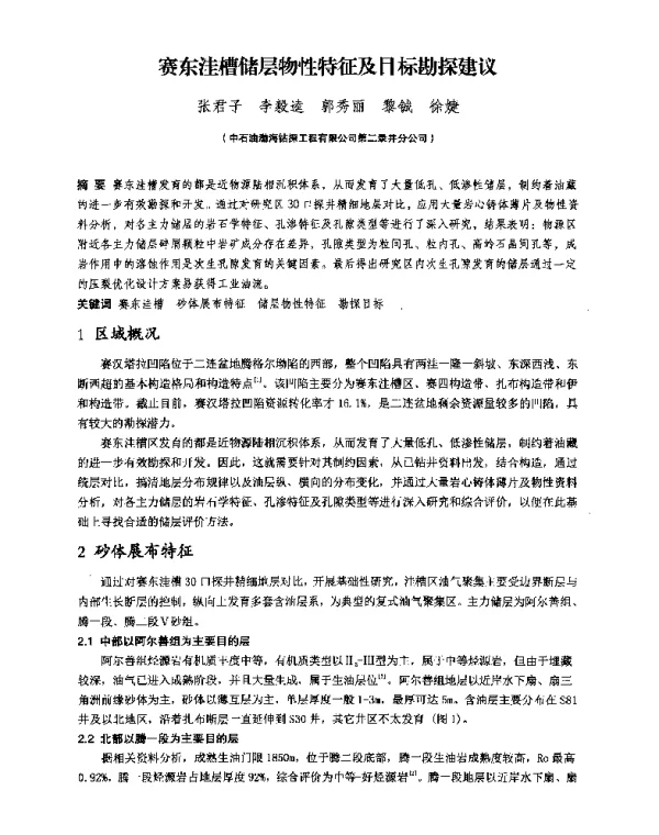赛东洼槽储层物性特征及目标勘探建议