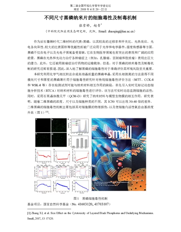 不同尺寸黑磷纳米片的细胞毒性及制毒机制