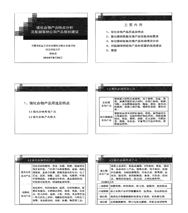 镁化合物产品特点分析及盐湖海纳公司产品规划建议