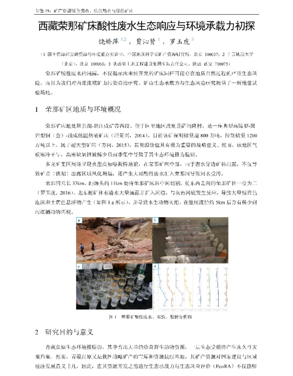 西藏荣那矿床酸性废水生态响应与环境承载力初探