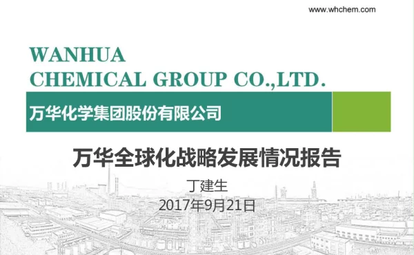 万华全球化战略发展情况报告