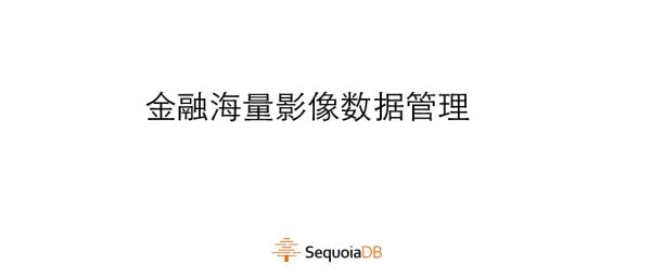 金融海量影像数据管理