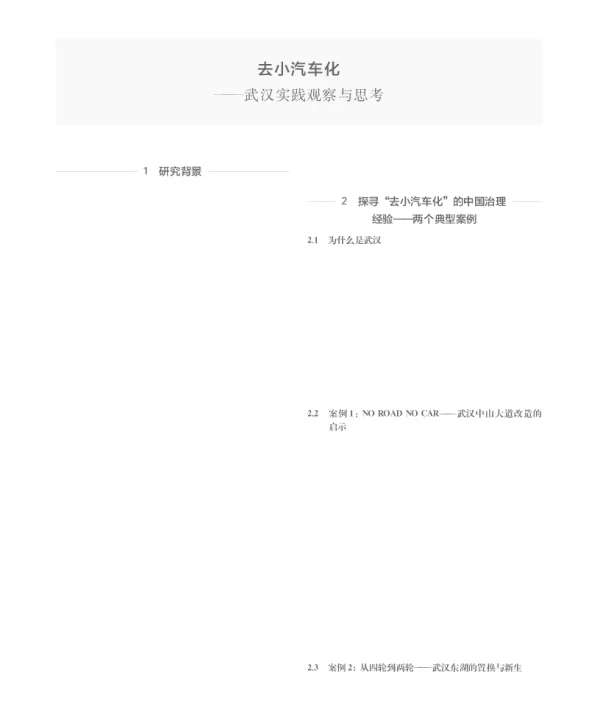去小汽车化--武汉实践观察与思考