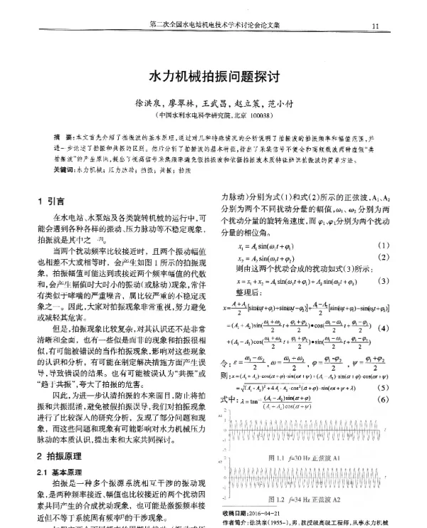 水力机械拍振问题探讨