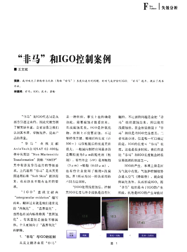 非马和IGO控制案例