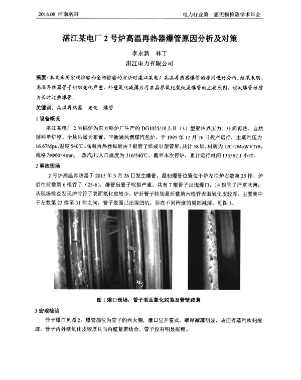 湛江某电厂2号炉高温再热器爆管原因分析及对策