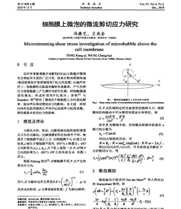 细胞膜上微泡的微流剪切应力研究