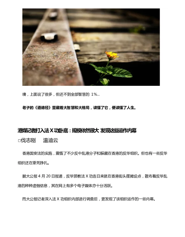 港媒记者打入法X功卧底规模依然很大发现这些运作内幕