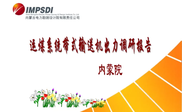 运煤系统带式输送机出力调研报告