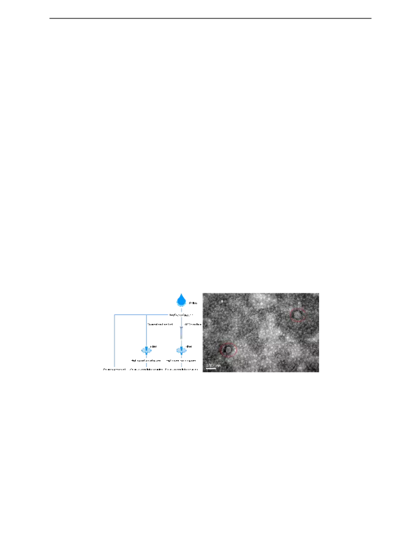体液外泌体的蛋白质组学分析与癌症检测